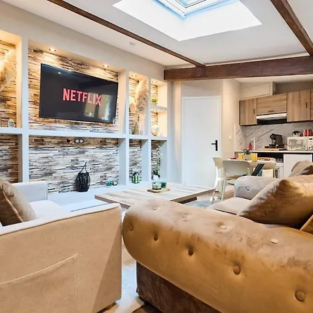Le Loft Remois I Centre-ville I Terrasse I Barbecue I Netflix - Le Loft Remois I Downtown I Terrace I Bbq L Netflix Appartement *