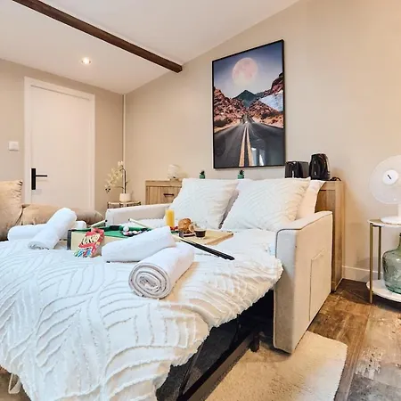 Le Loft Remois I Centre-ville I Terrasse I Barbecue I Netflix - Le Loft Remois I Downtown I Terrace I Bbq L Netflix Appartement Reims